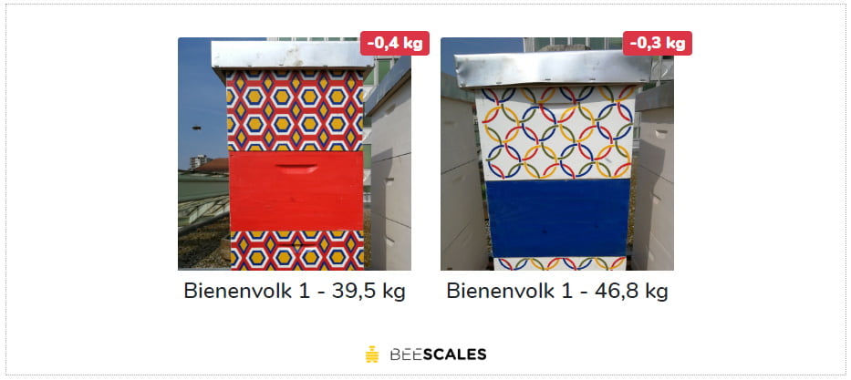 Web widgets pour balance de rucher