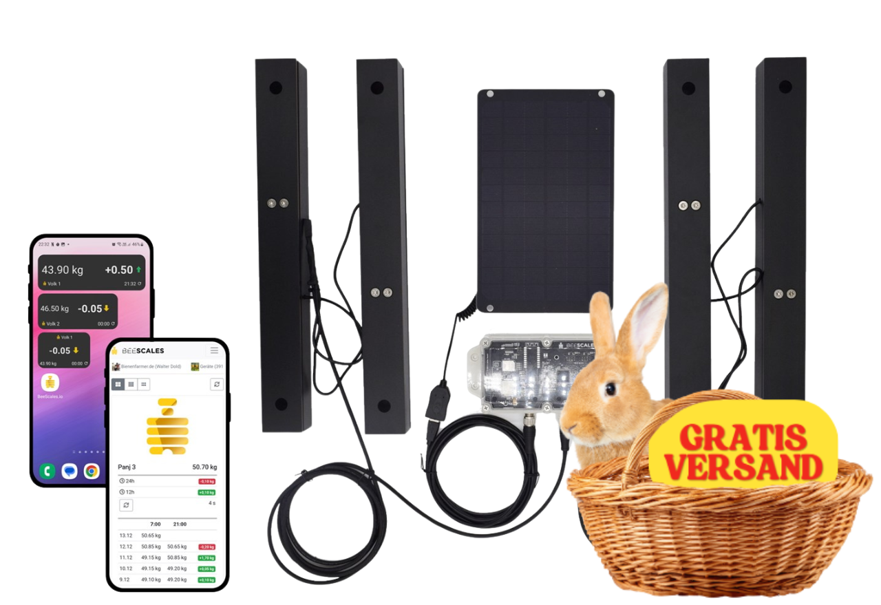 Balance de ruche pour la surveillance de deux ruches + GPS et alarme antivol, 4G NB‑IoT 